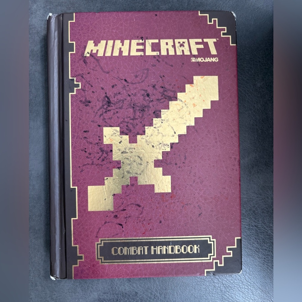 Minecraft kids book